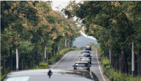 行浙北山水线 游最美江南 行浙北山水线 游最美江南