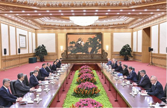 习近平会见俄罗斯统一俄罗斯党主席梅德韦杰夫2