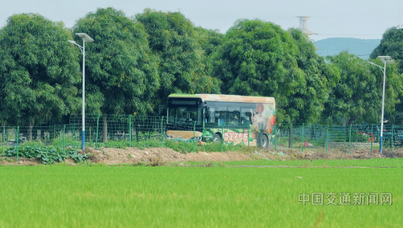 南宁公共交通集团805路“菜篮子专线”实现“从田间到市场”一站直达