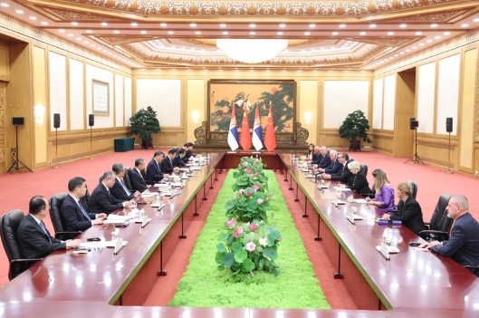 习近平会见塞尔维亚总统武契奇2 习近平会见塞尔维亚总统武契奇2